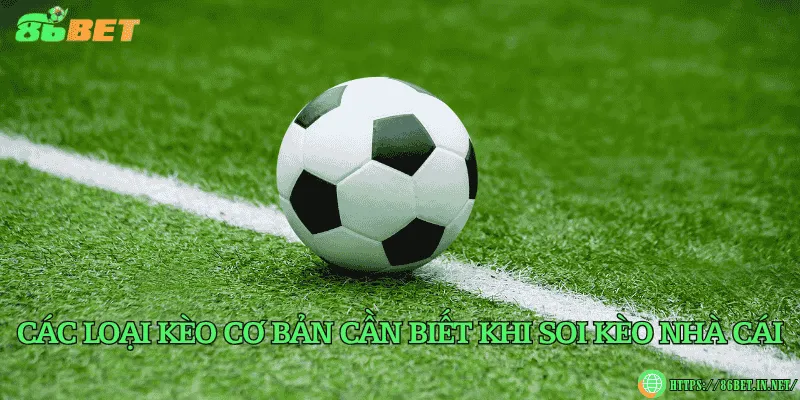 Các loại kèo cơ bản cần biết khi soi kèo nhà cái