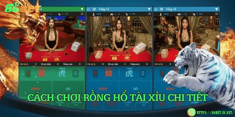 Rồng hổ tài xỉu – Phiên bản biến thể hấp dẫn của game Cách chơi rồng hổ tài xỉu chi tiết
