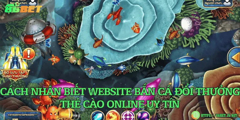 Hướng dẫn đổi thưởng bắn cá đổi thưởng thẻ cào online Cách nhận biết website bắn cá đổi thưởng thẻ cào online uy tín