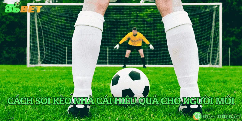 Cách soi kèo nhà cái hiệu quả cho người mới
