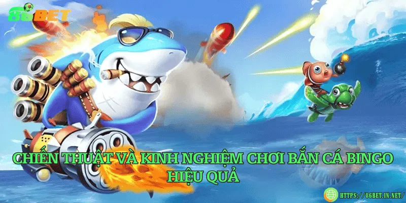 Chiến thuật và kinh nghiệm chơi bắn cá Bingo hiệu quả
