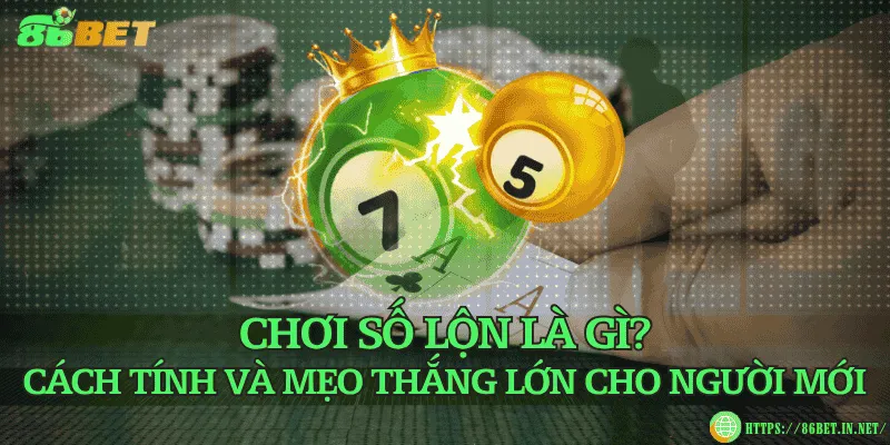 Chơi số lộn là gì? Cách tính và mẹo thắng lớn cho người mới