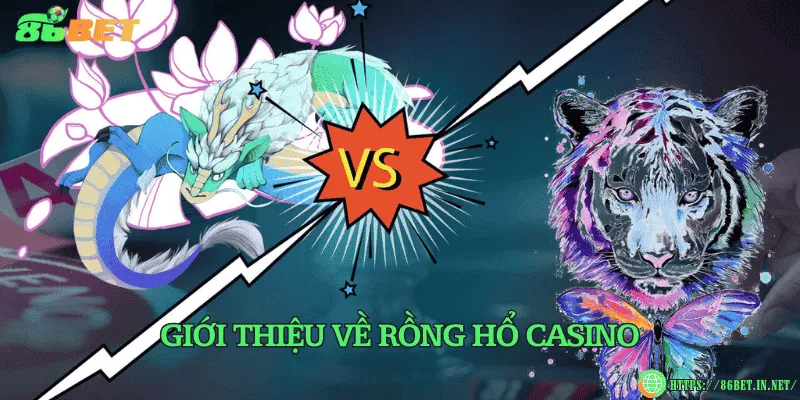 Giới thiệu về rồng hổ casino