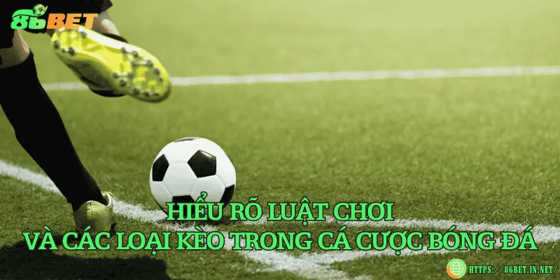 Kinh nghiệm cá cược bóng đá cho người chơi Hiểu rõ luật chơi và các loại kèo trong cá cược bóng đá