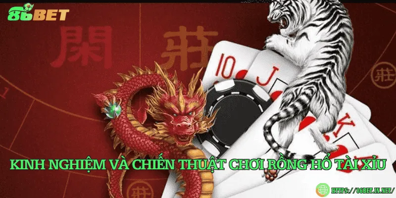 Rồng hổ tài xỉu – Phiên bản biến thể hấp dẫn của game Kinh nghiệm và chiến thuật chơi rồng hổ tài xỉu